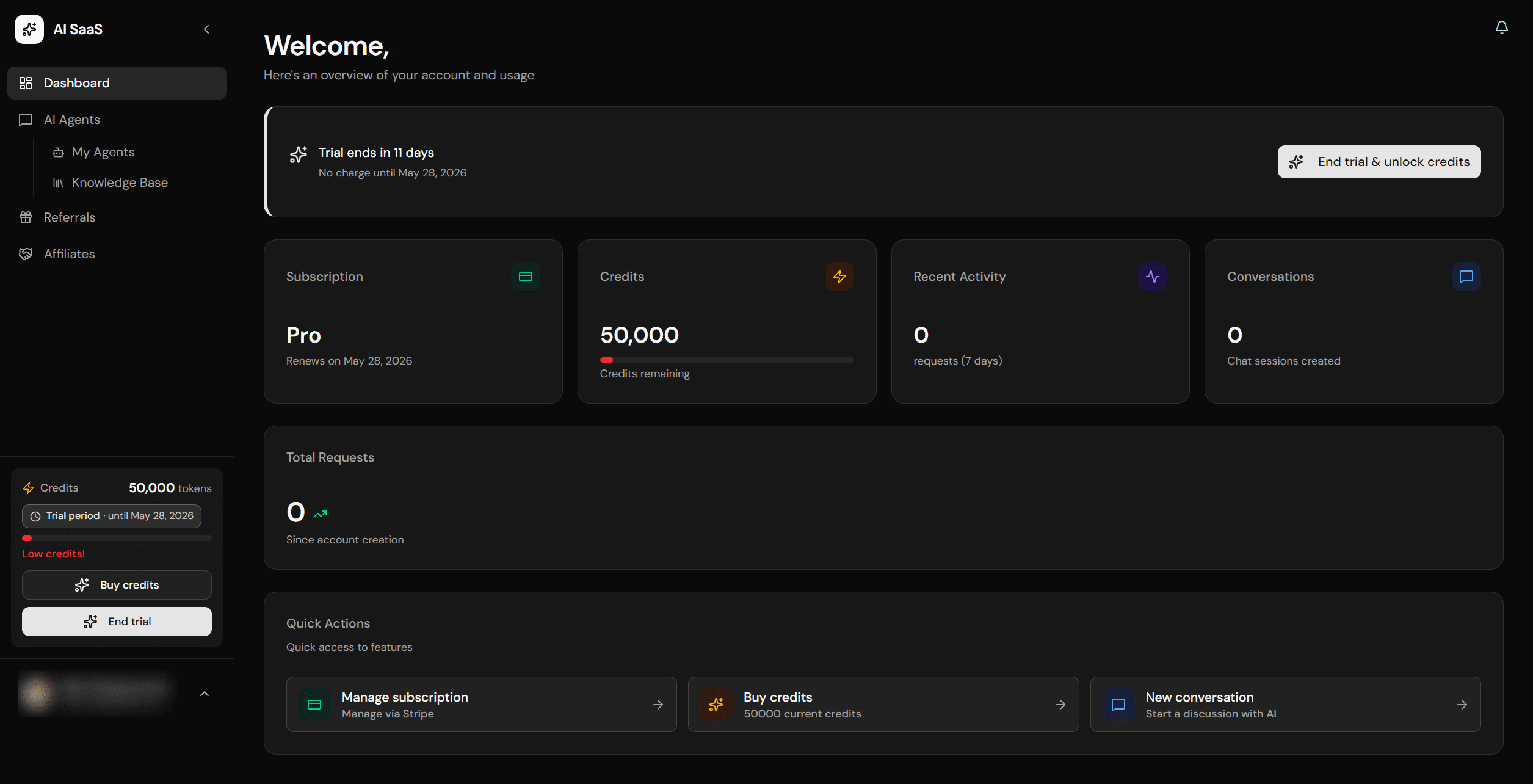 Private user dashboard with credits, recent activity and chat sessions
